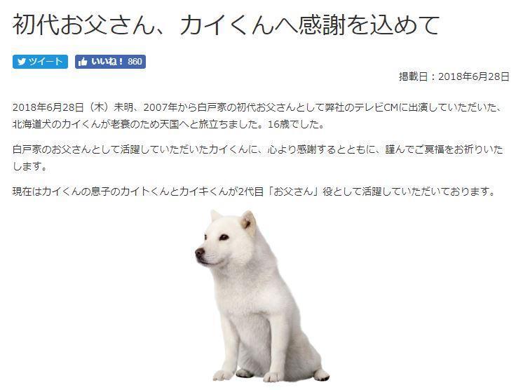 訃聞 日本電信廣告 白戶家的爸爸 狗明星過世享年16歲