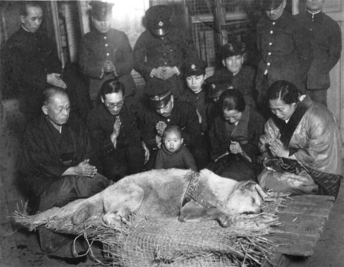 寵物信託3 3 死後和愛犬相聚日本靈骨塔推 飼主寵物合葬