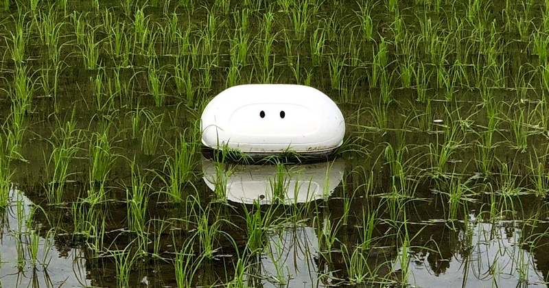 日本推出機器鴨模樣卡哇伊為有機稻作盡心力