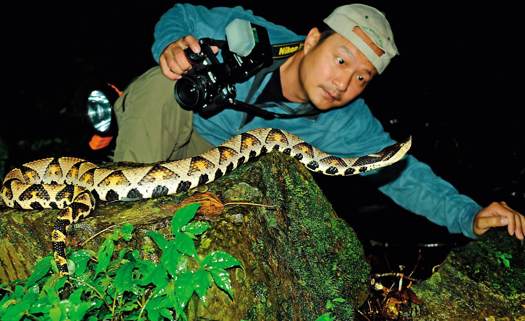 從動物星球來的前蛇王1 他愛冷血動物勝過人四度被毒蛇咬也沒在怕