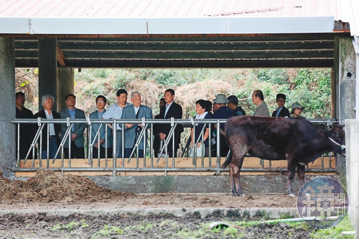 李登輝（左3）為培育台灣和牛，2017年投入畜牧業。