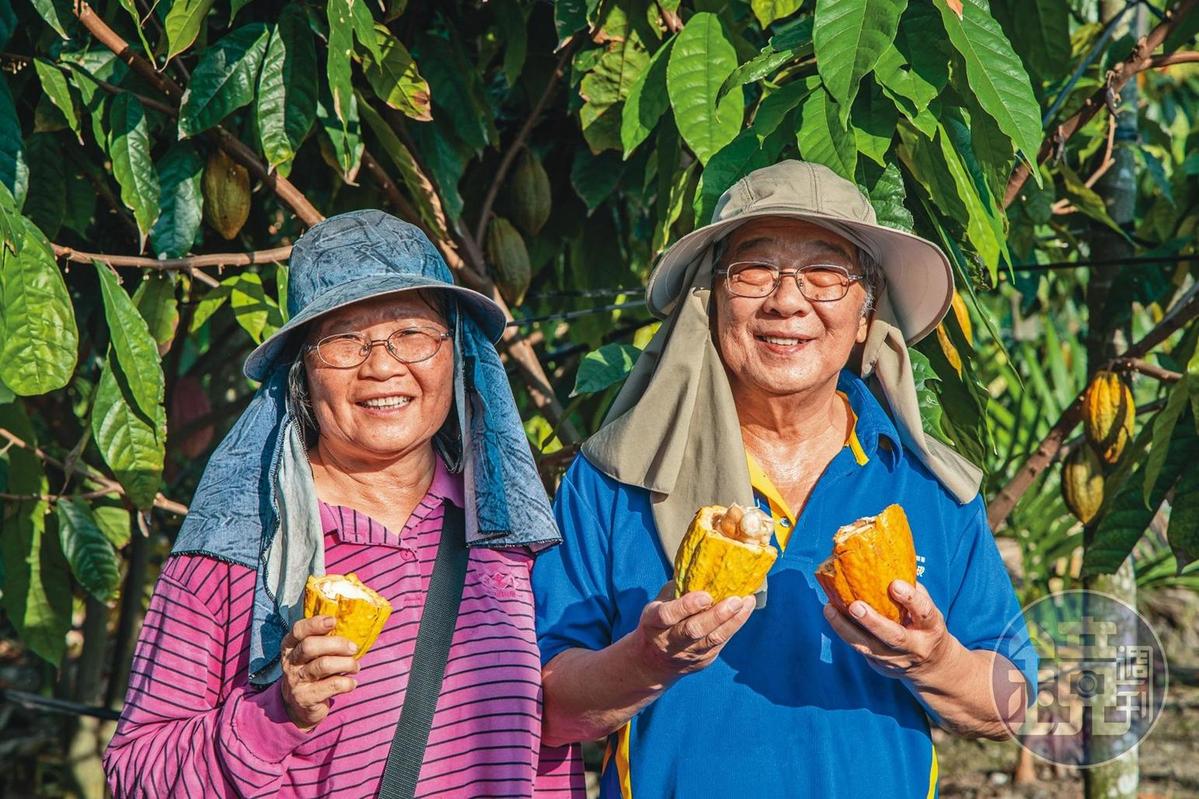 鐘富雄（右）與太太退休後，轉職投入可可樹種植。