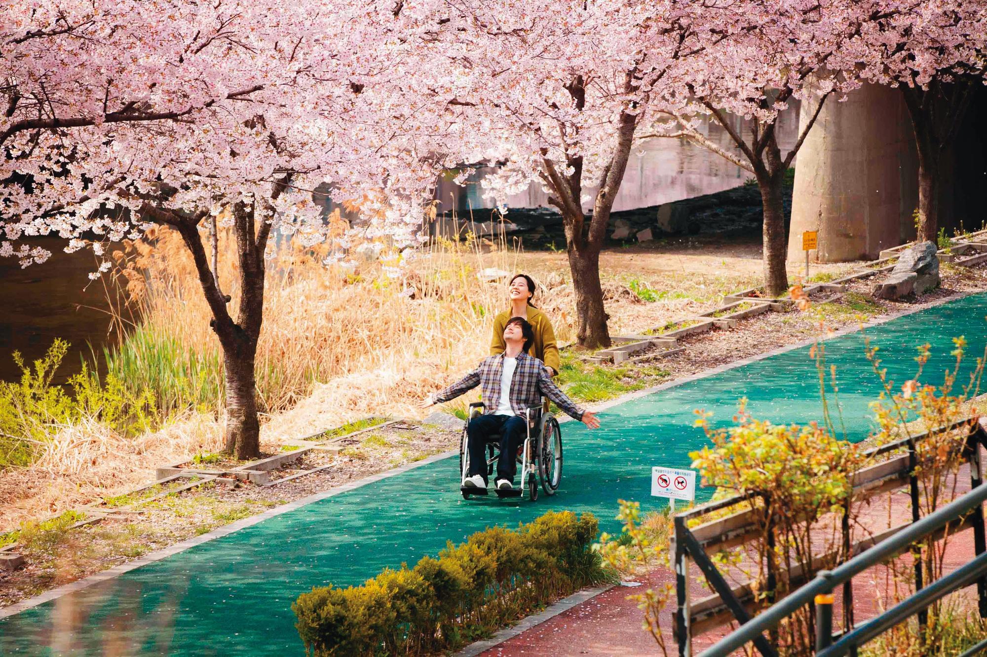 影評 紙花 死亡面前人人平等嗎