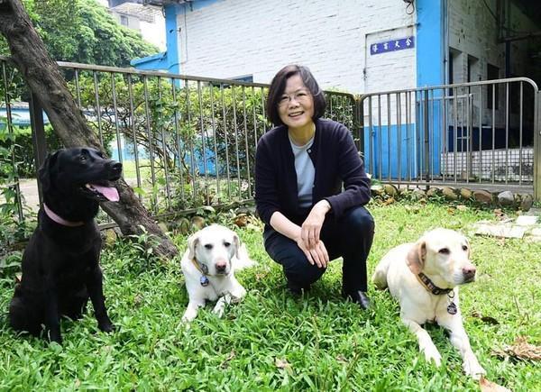 蔡英文遭疑特權領養搜救犬總統府 扭曲事實