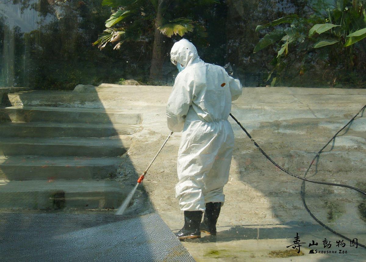 動物照顧不只是餵食、互動，內容包山包海，還涉及許多專業領域。（翻攝自Shou Shan Zoo 壽山動物園臉書）