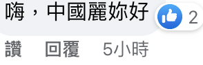 台灣網友對於田麗的說法感到不滿。（翻攝田麗臉書）