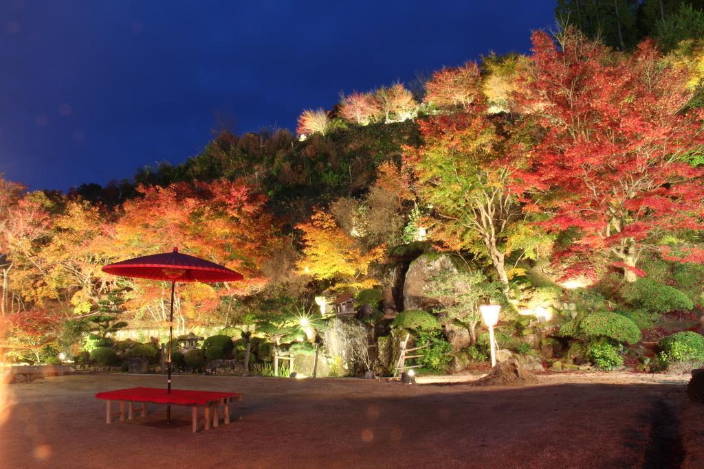 日本10月可望開放自由行必收京都4個私房賞楓景點