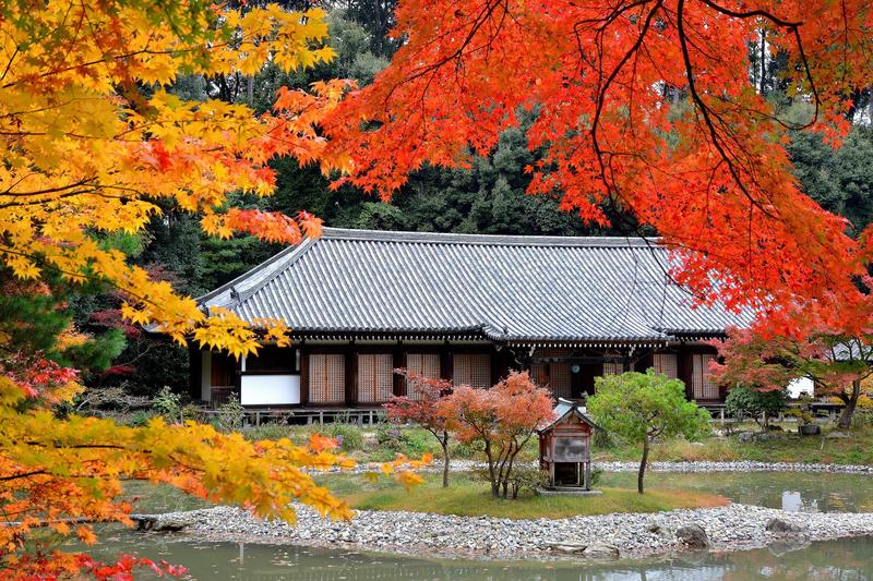 日本10月可望開放自由行必收京都4個私房賞楓景點