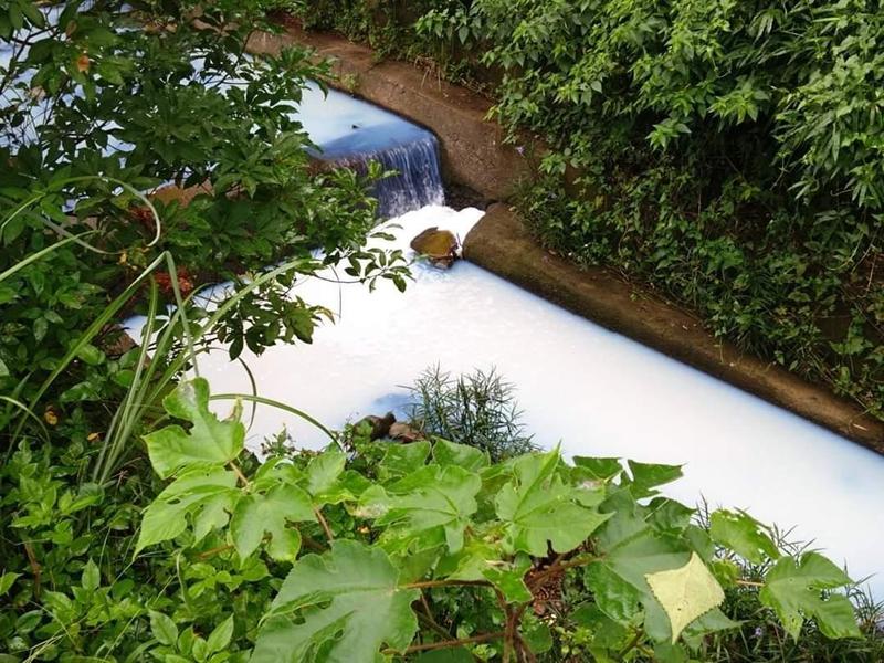 立委洪申翰揭露關西牛欄河變成「牛奶河」。（圖／翻攝洪申翰臉書）